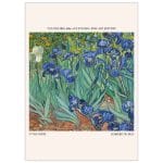 Vue Des Iris