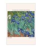 Vue Des Iris