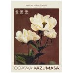 White Blossoms