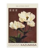 White Blossoms