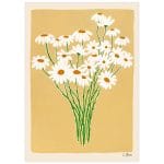 Daisies