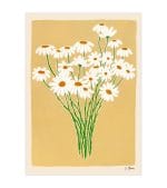 Daisies