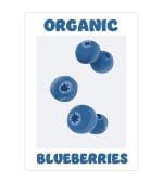 Organic Blueberries
